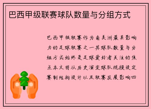 巴西甲级联赛球队数量与分组方式