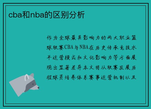cba和nba的区别分析
