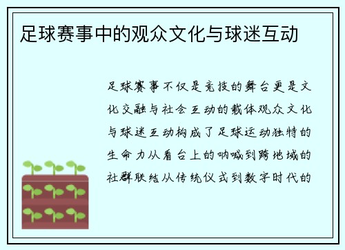 足球赛事中的观众文化与球迷互动